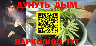 соль ск Будённовск