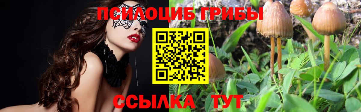 Галлюциногенные грибы ЛСД Павлово