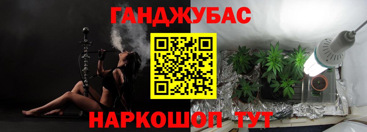 Марихуана Bruce Banner  Вход с VPN  Павлово  Шишки марихуана THC 21%  Бошки Шишки план 